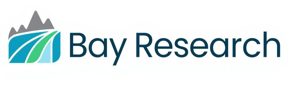 Company Logo for Bay Reserach